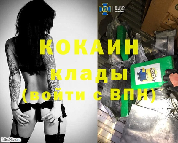 твердый Богородск