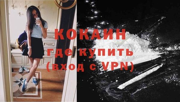 твердый Богородск
